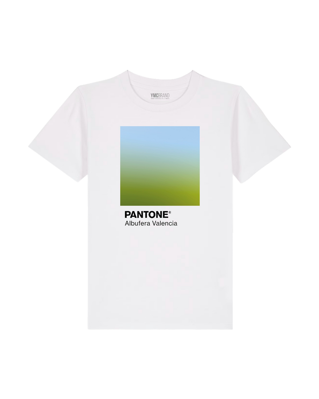 Terreta Camiseta Pantone Valencia