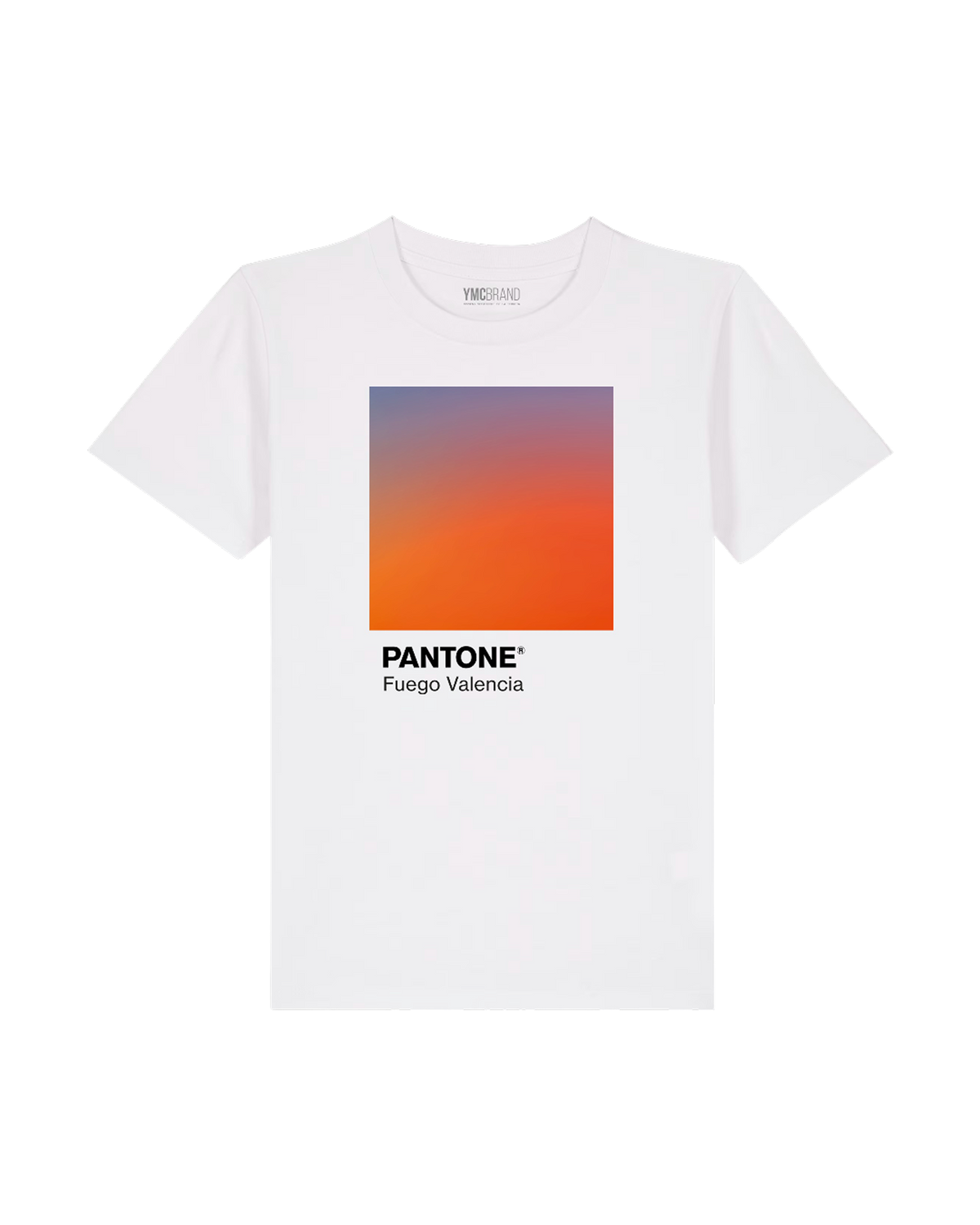 Terreta Camiseta Pantone Valencia