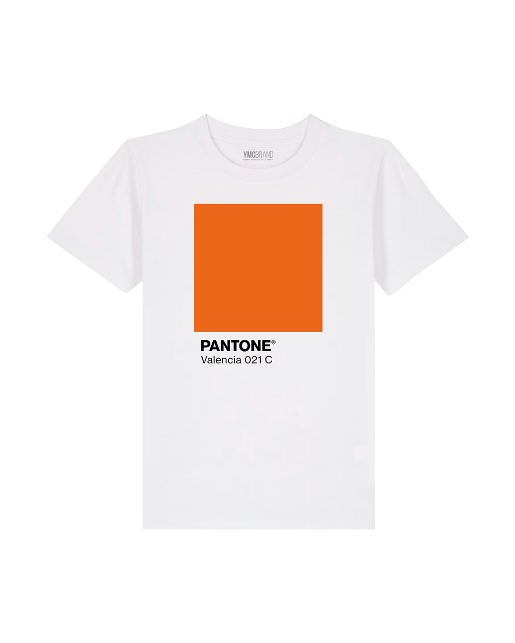 Terreta Camiseta Pantone Valencia