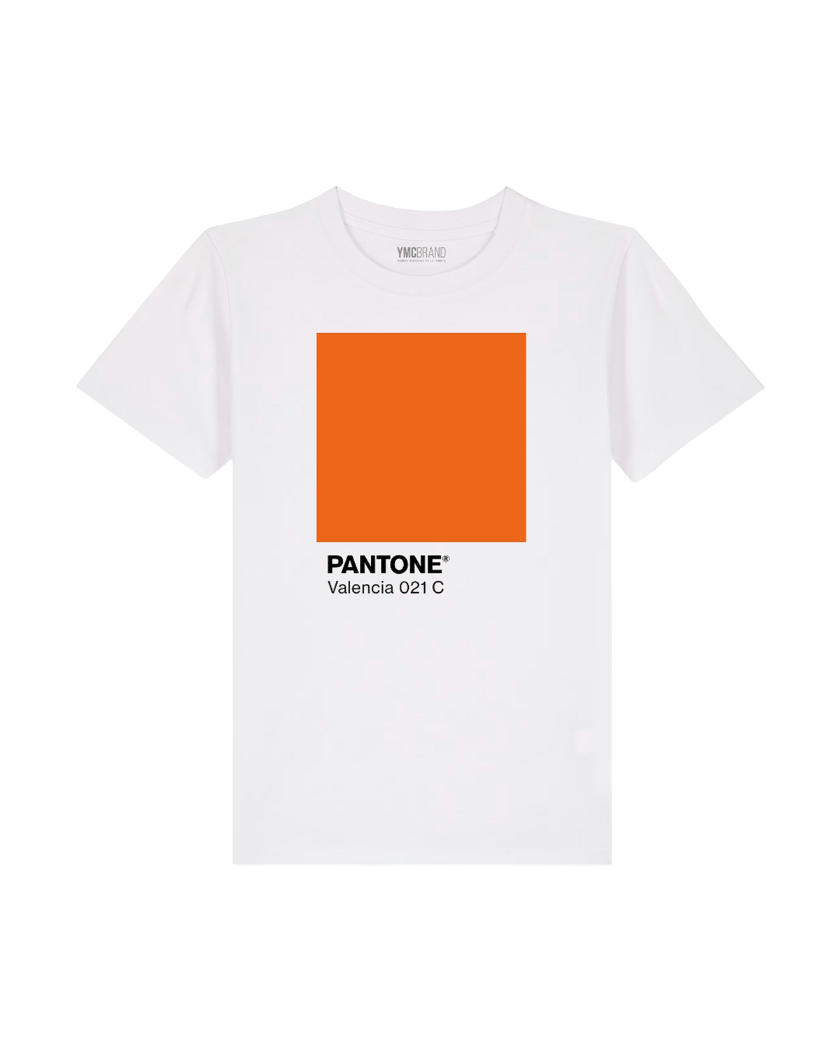 Terreta Camiseta Pantone Valencia