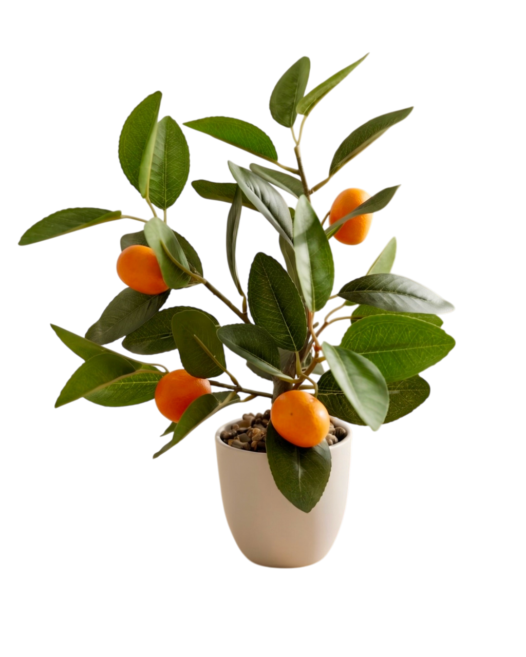 Árbol Decorativo Naranjita Terreta