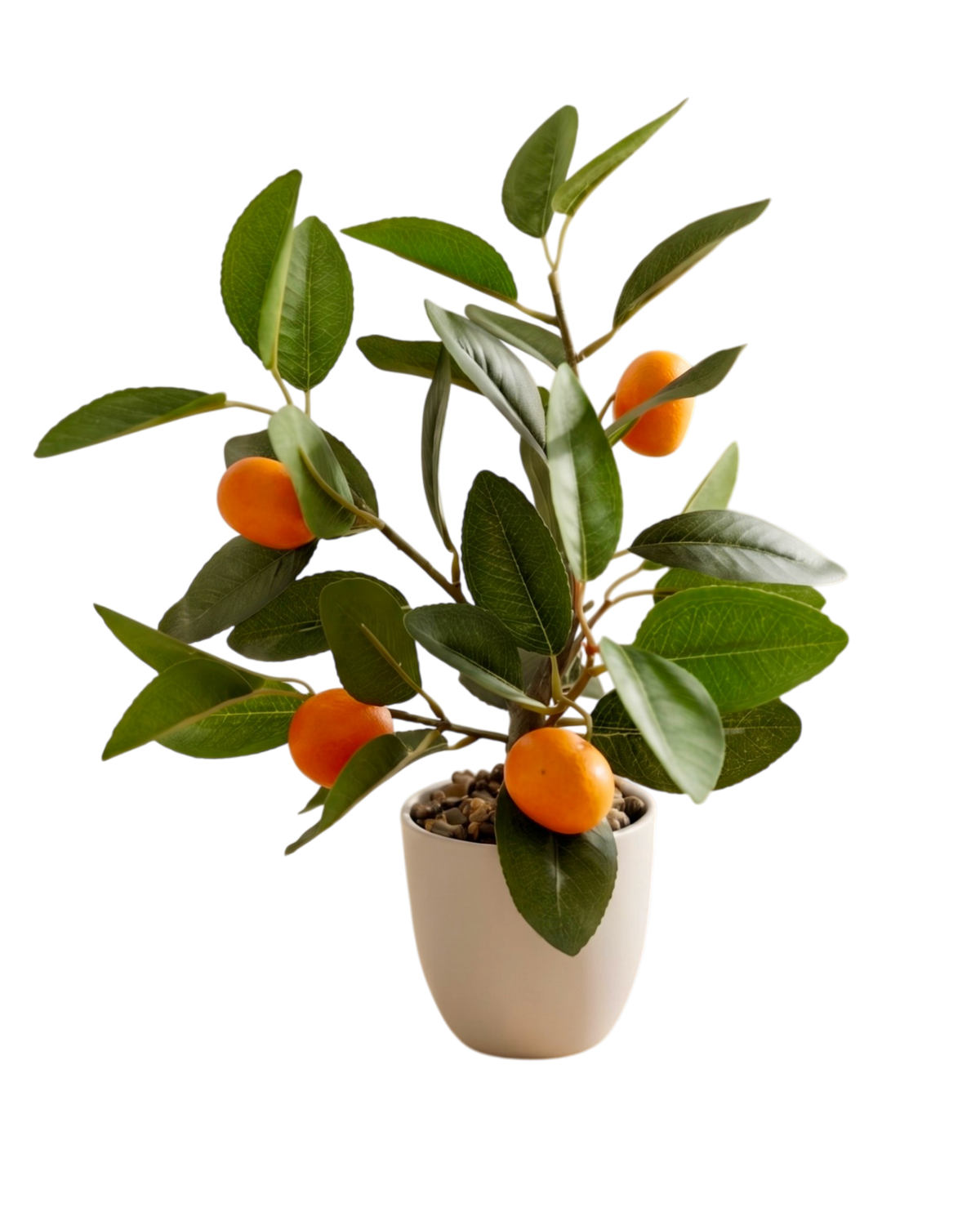 Árbol Decorativo Naranjita Terreta