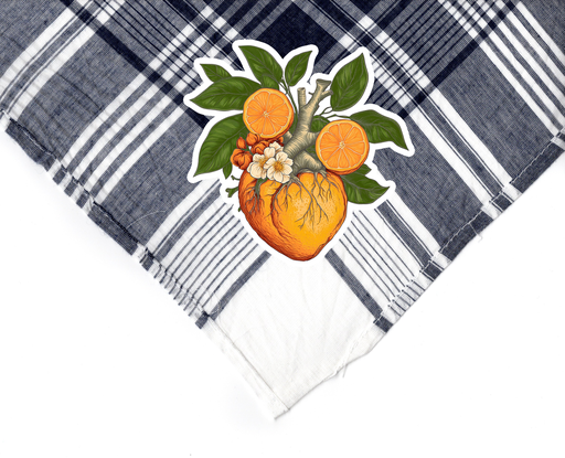 PAÑUELO YMC TERRETA FALLAS